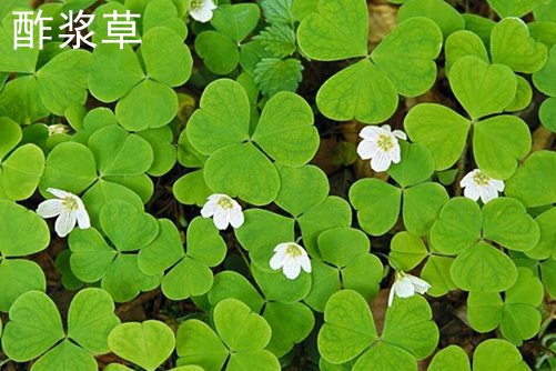 防风亚洲无人区码一码二码三码区别，守护生活，抵御未知的自然之力