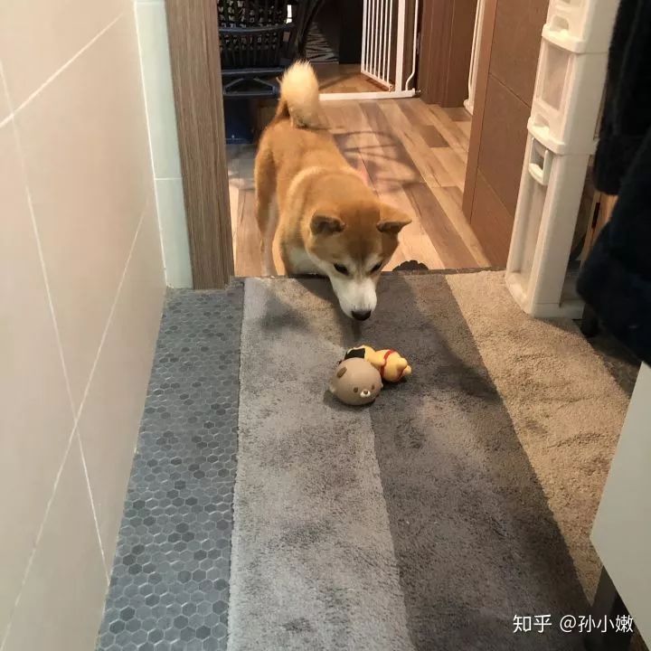 巩固霜免费一级无码婬片在线观看，解锁肌肤保护的神秘力量