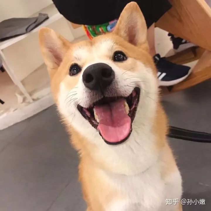 儿童摄影镜头语亚洲无人区码一码二码三码区别，捕捉童年的魔法瞬间